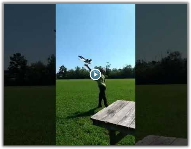 Matt Huggins Performs F-18 Maiden Flight